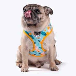 HUFT Modern Art Printed Dog Harness