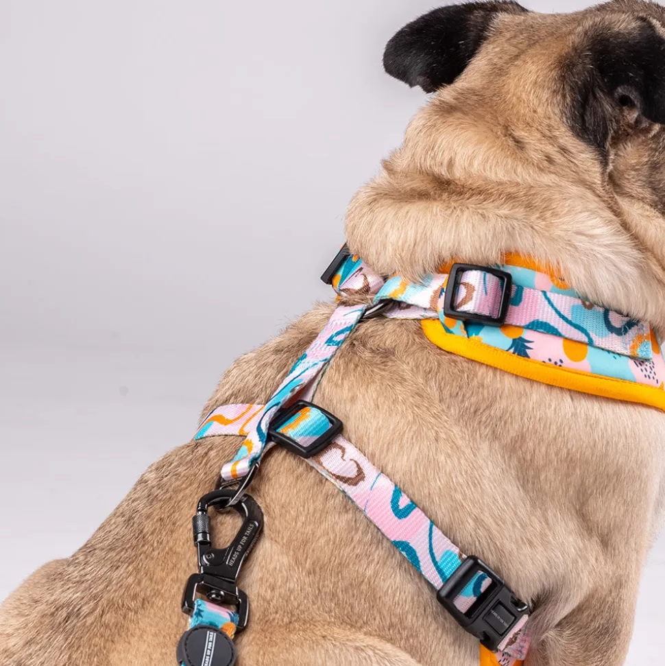 HUFT Modern Art Printed Dog Harness