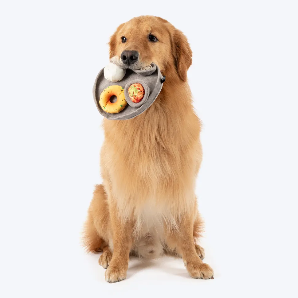 HUFT Naashta Noms Crinkly Dog Toy - Multicolor