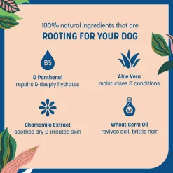 HUFT Natural Activated Charcoal Shampoo For Dog