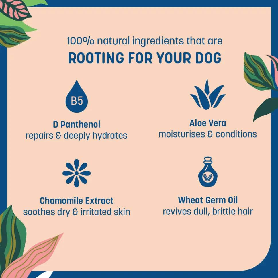HUFT Natural Activated Charcoal Shampoo For Dog