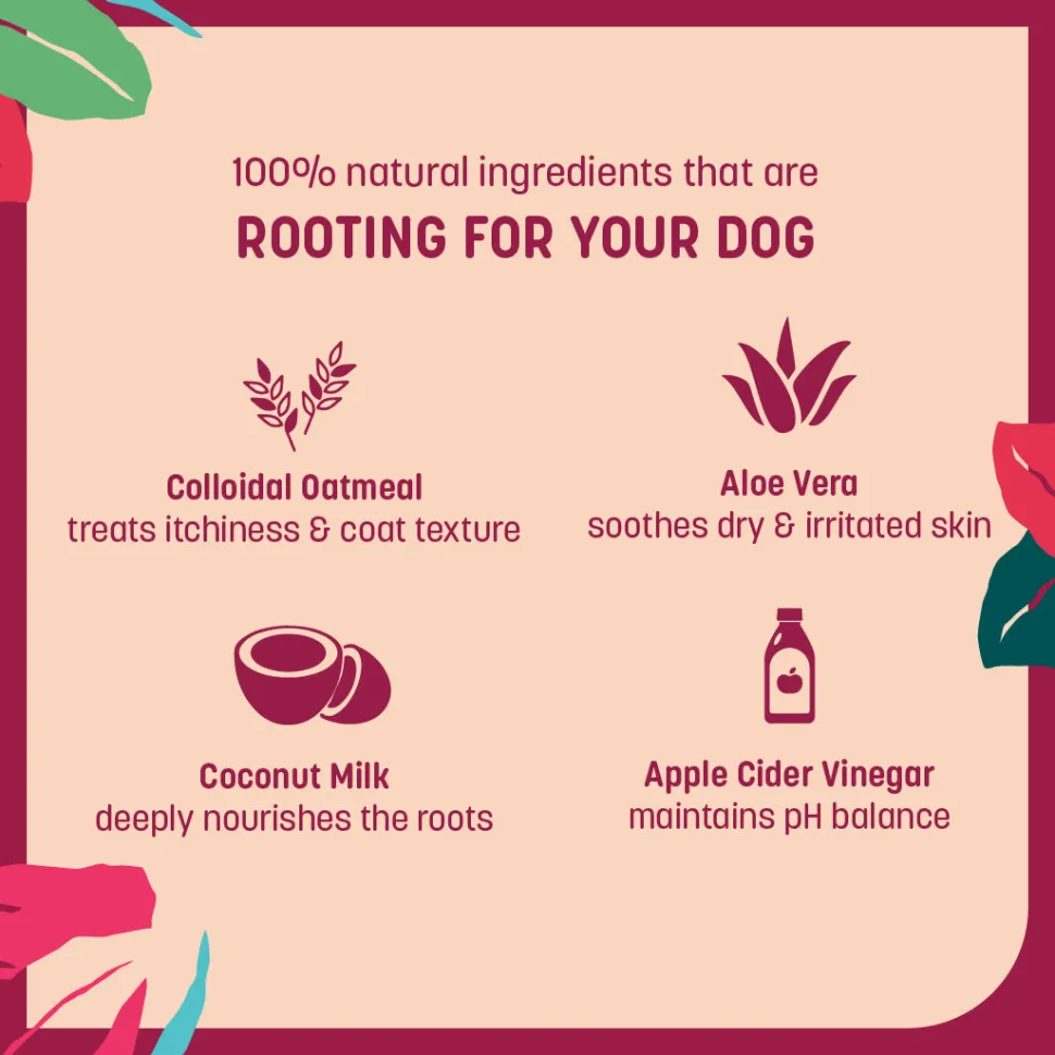 HUFT Natural Itch Relief Oatmeal Shampoo For Dog - Apple Cider Vinegar & Aloe Vera
