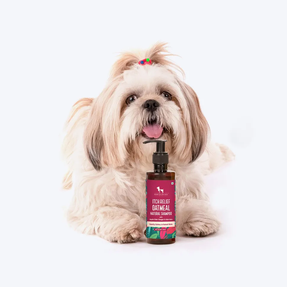 HUFT Natural Itch Relief Oatmeal Shampoo For Dog - Apple Cider Vinegar & Aloe Vera