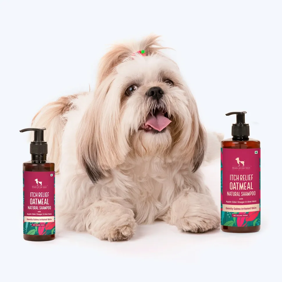 HUFT Natural Itch Relief Oatmeal Shampoo For Dog - Apple Cider Vinegar & Aloe Vera