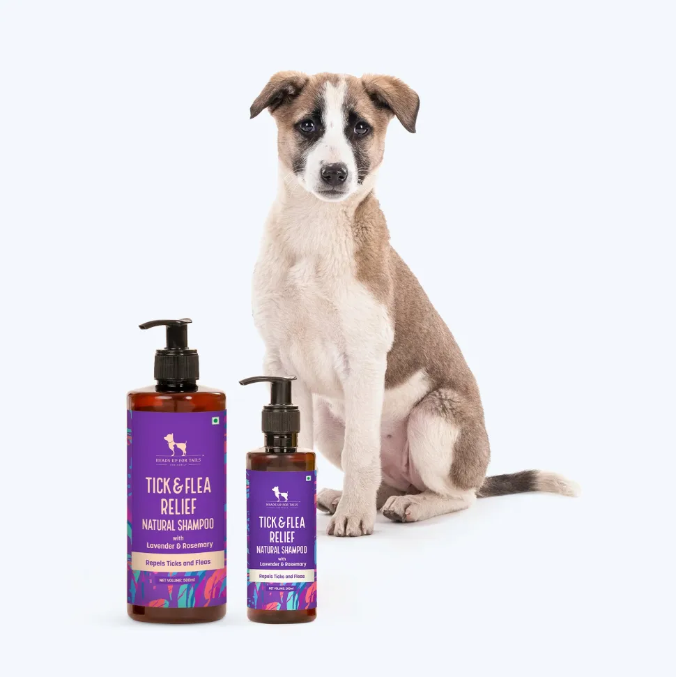 HUFT Natural Tick & Flea Repellent Shampoo For Dog