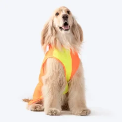 HUFT Neon Burst Vest For Dogs (Orange)