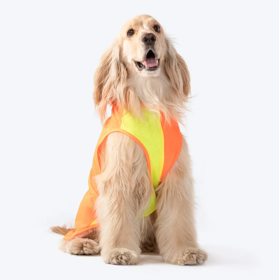 HUFT Neon Burst Vest For Dogs (Orange)