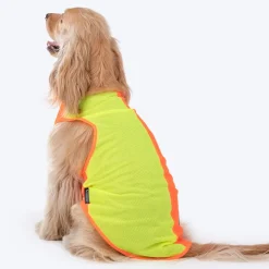 HUFT Neon Burst Vest For Dogs (Orange)