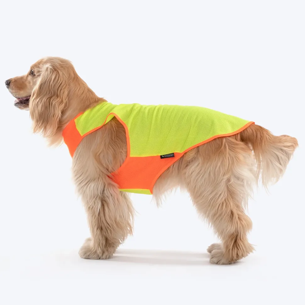 HUFT Neon Burst Vest For Dogs (Orange)