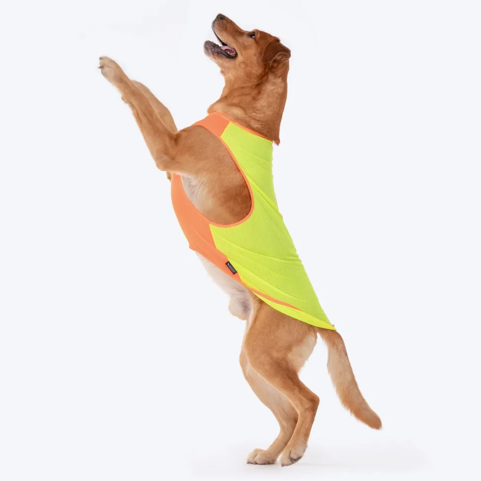 HUFT Neon Burst Vest For Dogs (Orange)