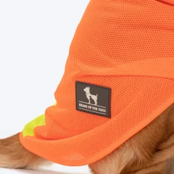 HUFT Neon Burst Vest For Dogs (Orange)