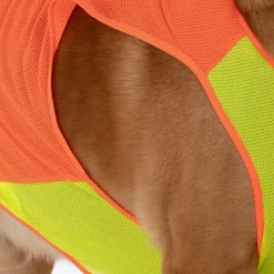 HUFT Neon Burst Vest For Dogs (Orange)