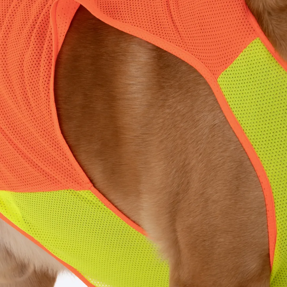 HUFT Neon Burst Vest For Dogs (Orange)