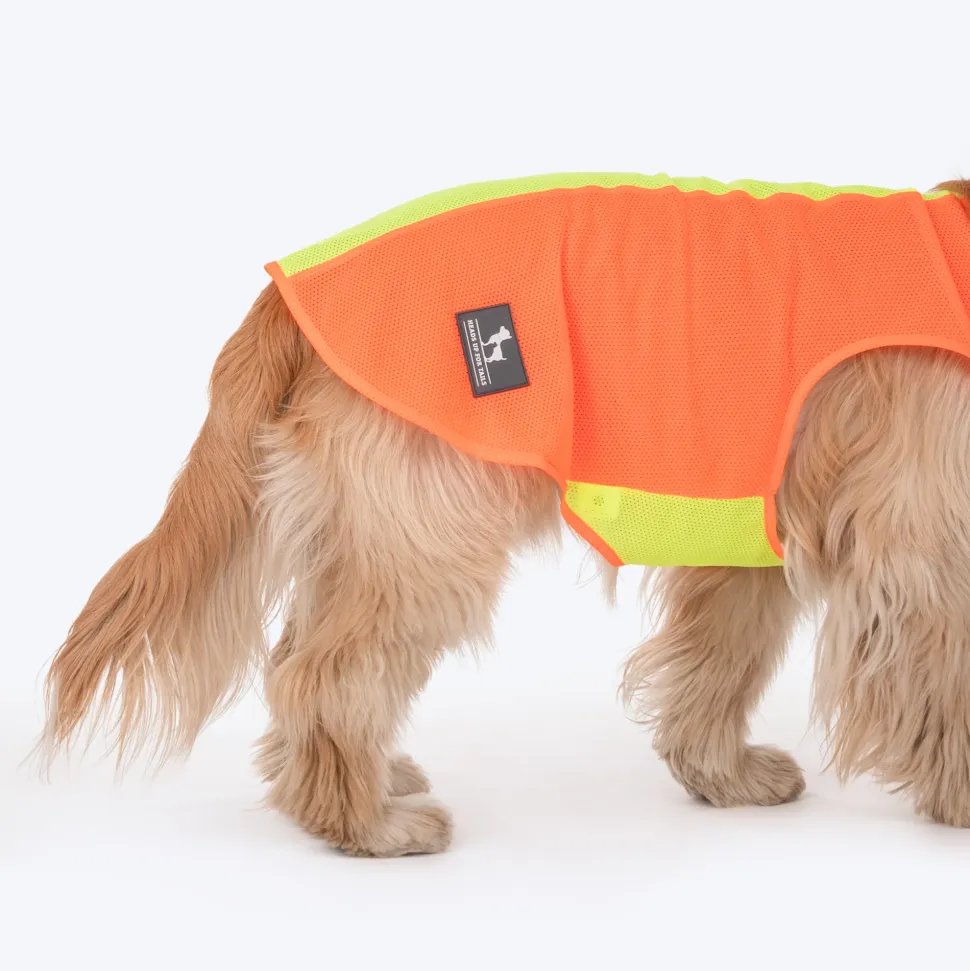 HUFT Neon Burst Vest For Dogs (Orange)