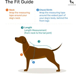 HUFT Neon Burst Vest For Dogs (Orange)