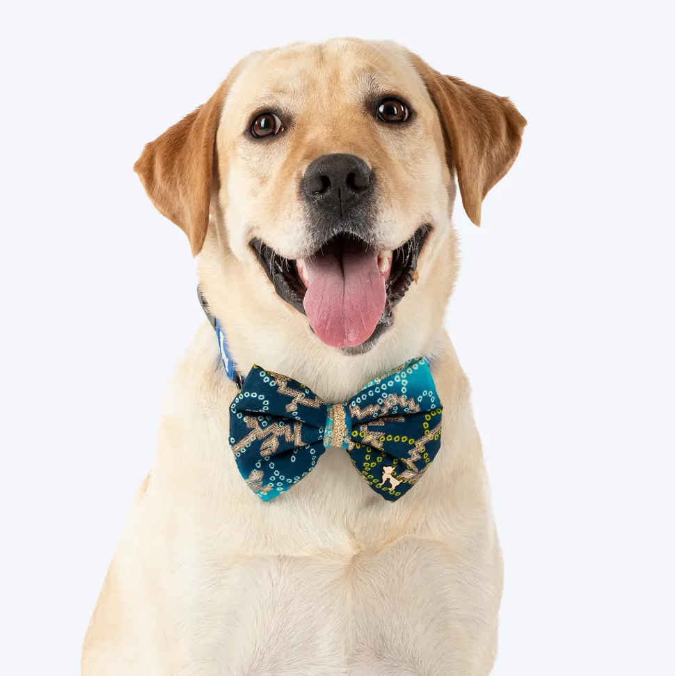 HUFT Noori Bow Tie For Dog - Blue