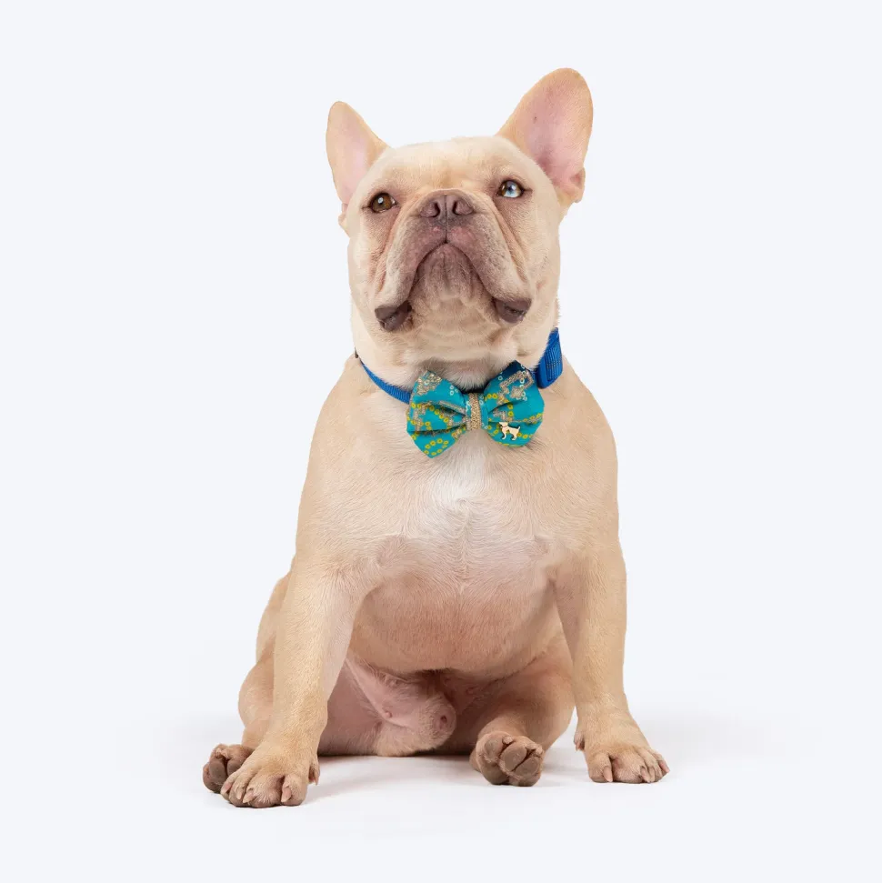 HUFT Noori Bow Tie For Dog - Blue