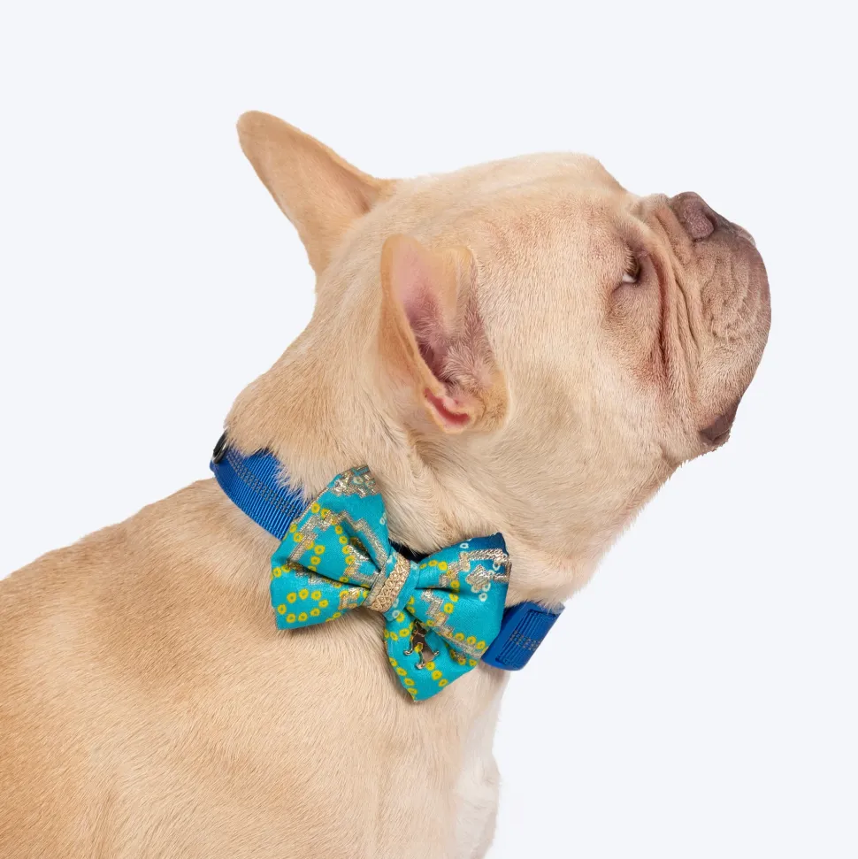 HUFT Noori Bow Tie For Dog - Blue