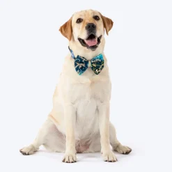 HUFT Noori Bow Tie For Dog - Blue