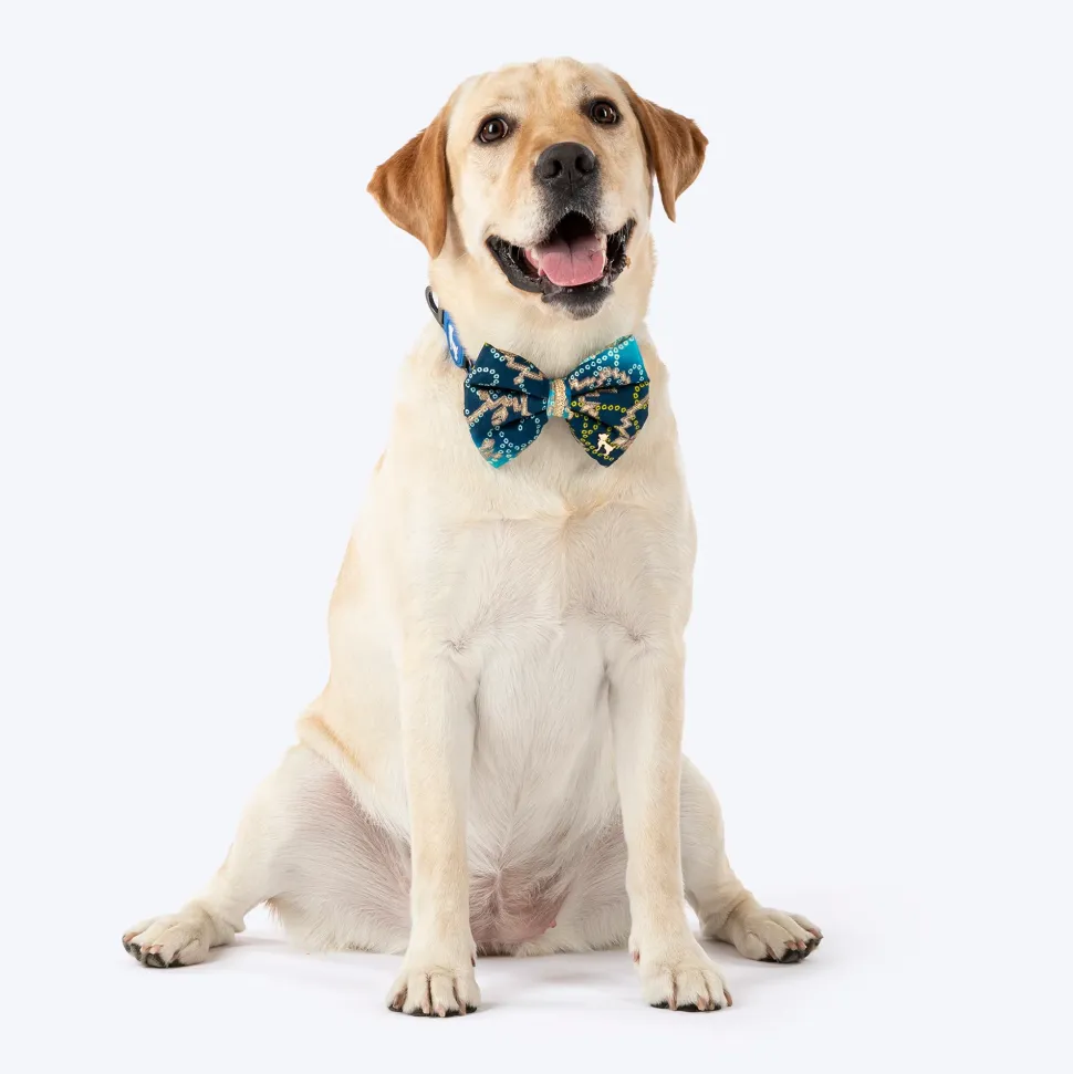 HUFT Noori Bow Tie For Dog - Blue