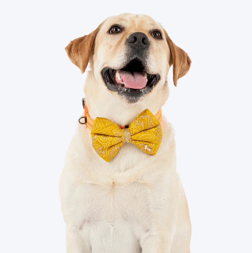 HUFT Noori Bow Tie For Dog - Yellow