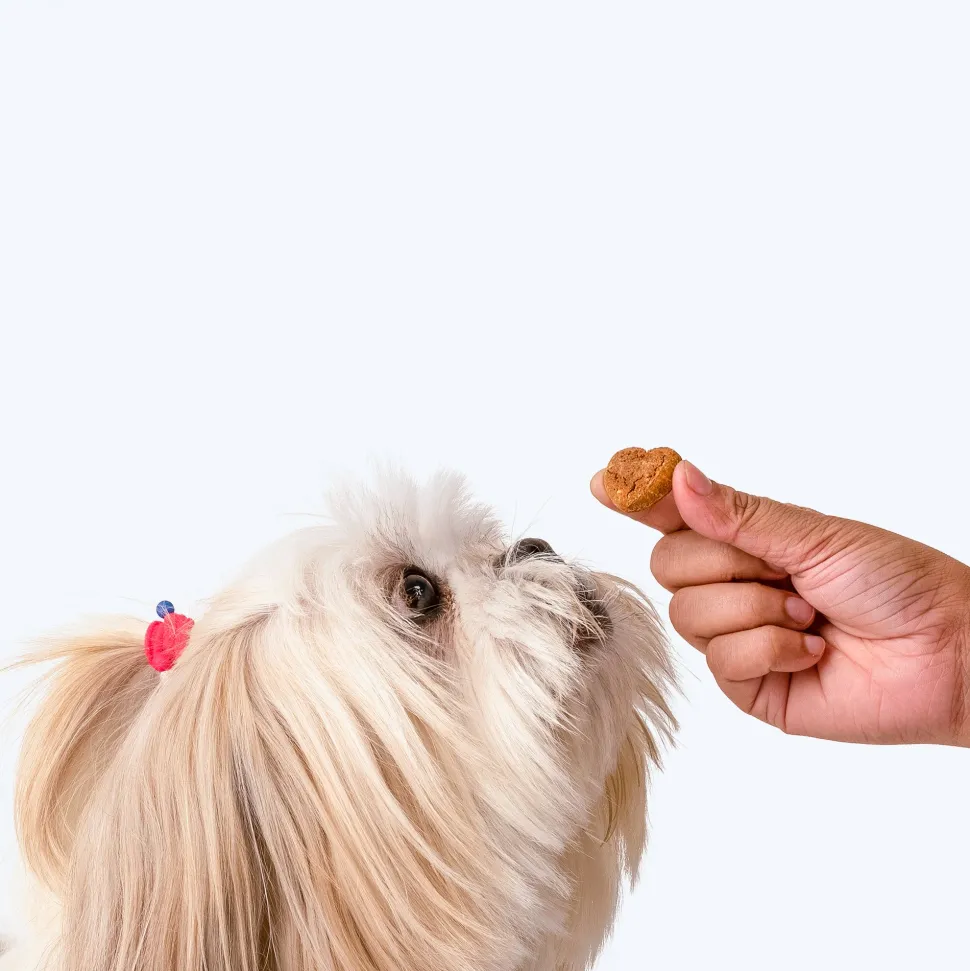 HUFT Nutri Treats For Dogs - Digestive Health - 150 g