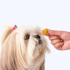 HUFT Nutri Treats For Dogs - Hip & Joint Support - 150 g