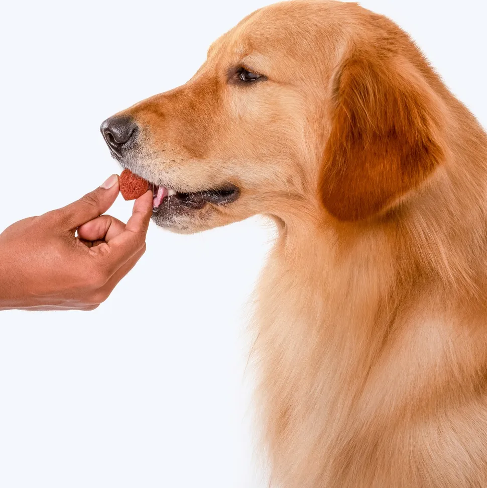 HUFT Nutri Treats For Dogs - Immunity Support - 150 g