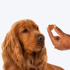 HUFT Nutri Treats For Dogs - Skin & Coat Support - 150 g