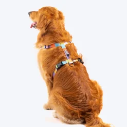 HUFT Nylon Chase the Rainbow Dog H Harness