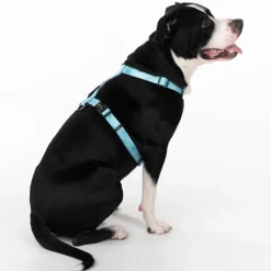 HUFT Nylon Summer Sky Dog H Harness