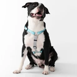 HUFT Nylon Summer Sky Dog H Harness