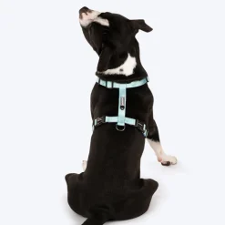 HUFT Nylon Summer Sky Dog H Harness