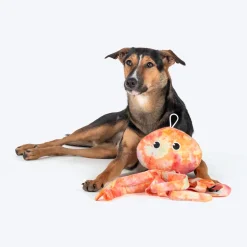 HUFT Octopaws Supreme Plush Toy For Dog - Multicolor