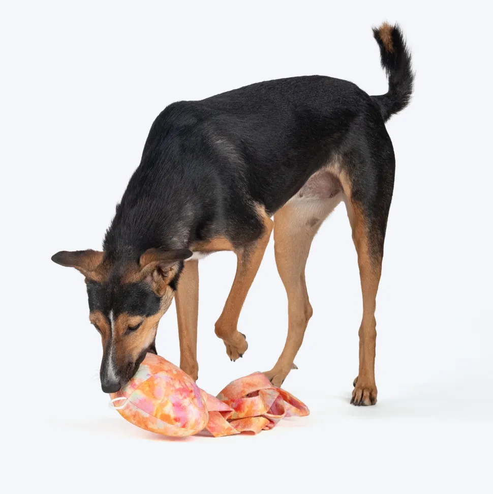 HUFT Octopaws Supreme Plush Toy For Dog - Multicolor