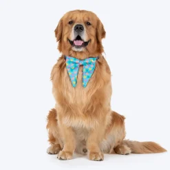 HUFT Over The Rainbow Printed Bow Tie for Dog - Blue