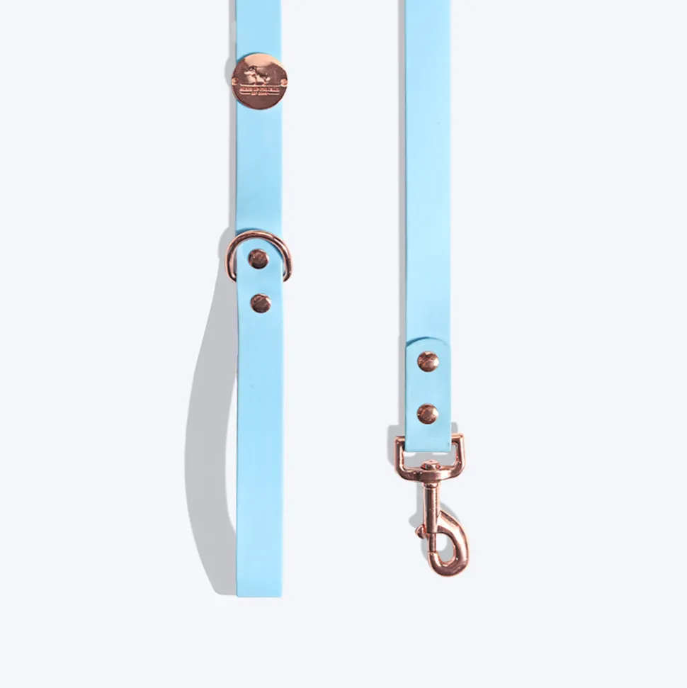 HUFT Pastel Pawprint Rain Friendly Dog Leash - Blue - 1.2 m