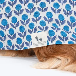HUFT Pawbloom Kurta For Dog - Blue & White