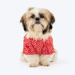 HUFT Pawdhani Leheriya Kurta For Dog - Red