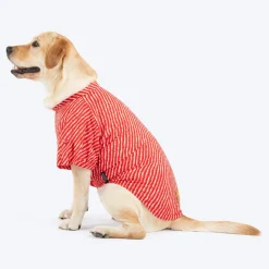 HUFT Pawdhani Leheriya Kurta For Dog - Red