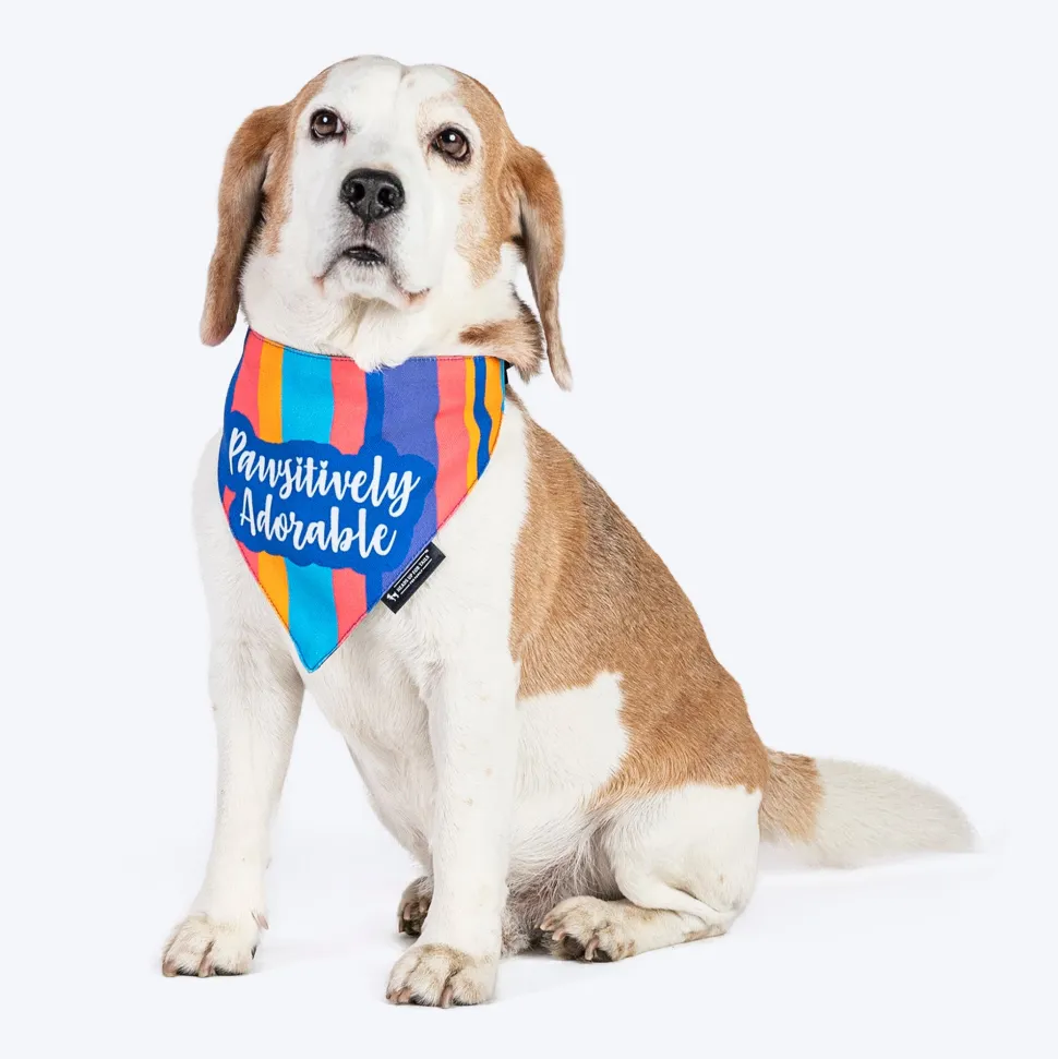 HUFT Pawsitively Adorable Printed Dog Bandana - Multicolour