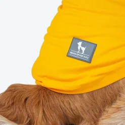HUFT Pawsitively Adorable T-Shirt For Dogs - Yellow