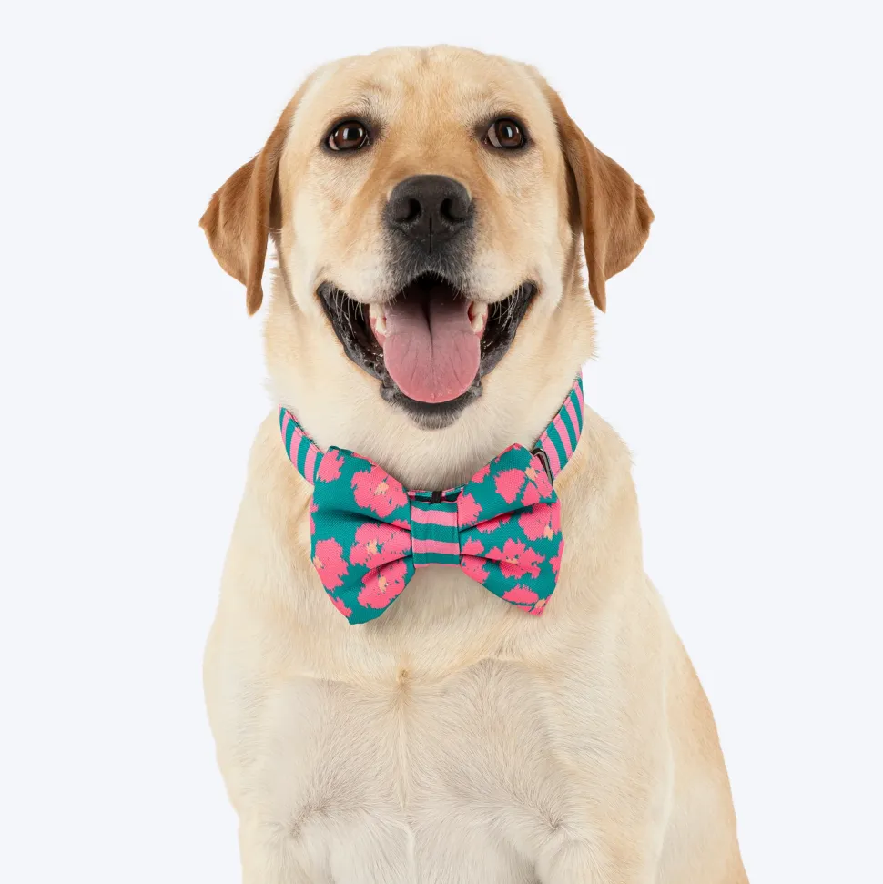 HUFT Pawsome Blossom Bow Tie With Collar For Dog - Green & Pink