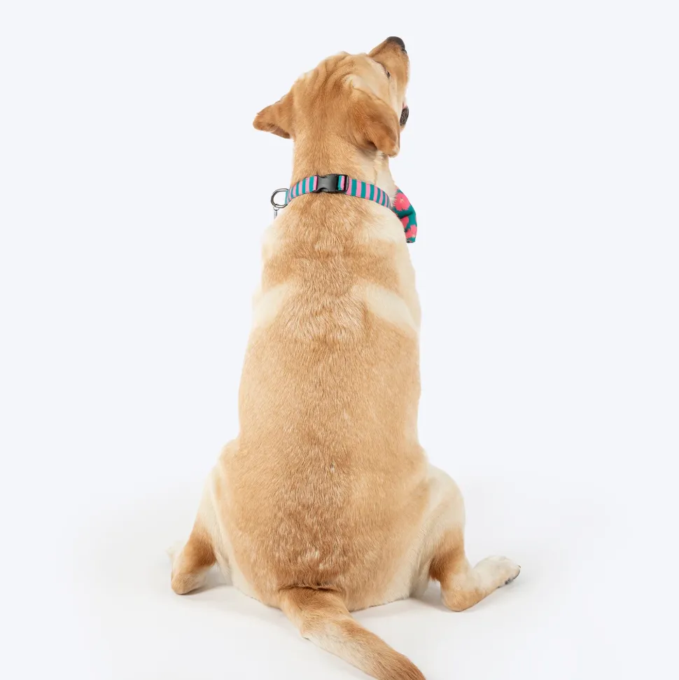 HUFT Pawsome Blossom Bow Tie With Collar For Dog - Green & Pink