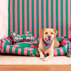 HUFT Pawsome Blossom Lounger Bed For Dog - Green & Pink