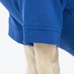 HUFT Paws Polo T-Shirt For Dog - Blue