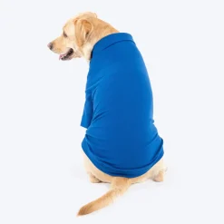 HUFT Paws Polo T-Shirt For Dog - Blue