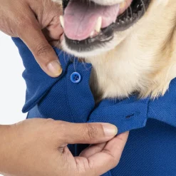 HUFT Paws Polo T-Shirt For Dog - Blue