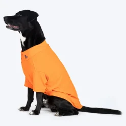 HUFT Paws Polo T-Shirt For Dog - Orange