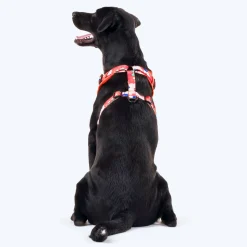 HUFT Petal Play Adjustable Dog Harness - Orange